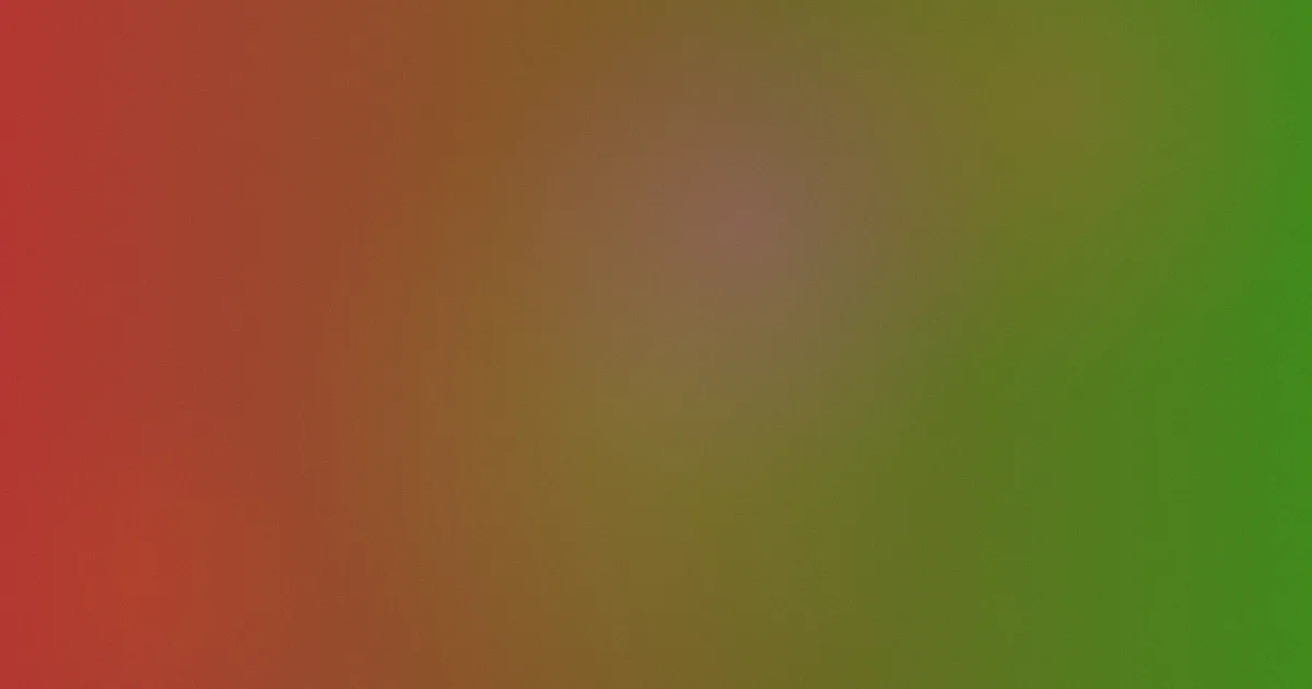 anal测评：新手避坑流程